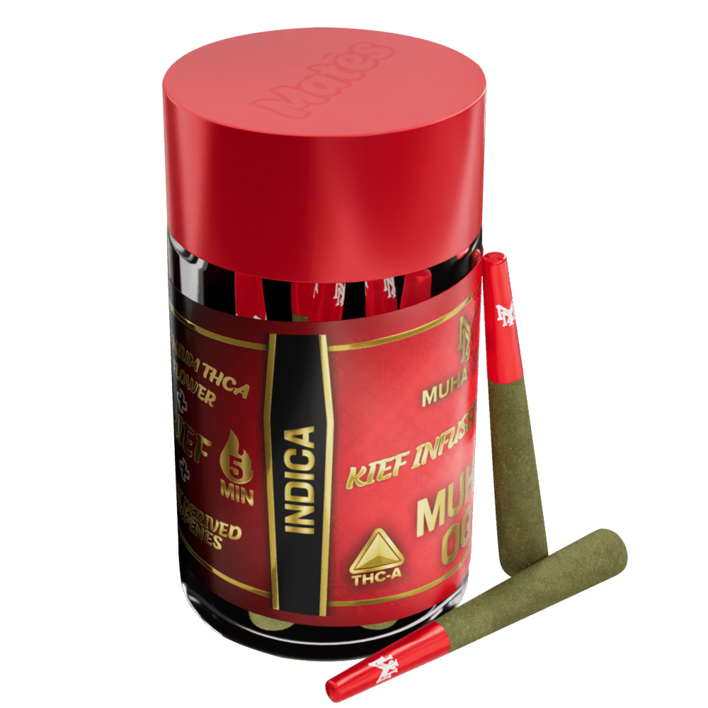 Shop Secondary Image